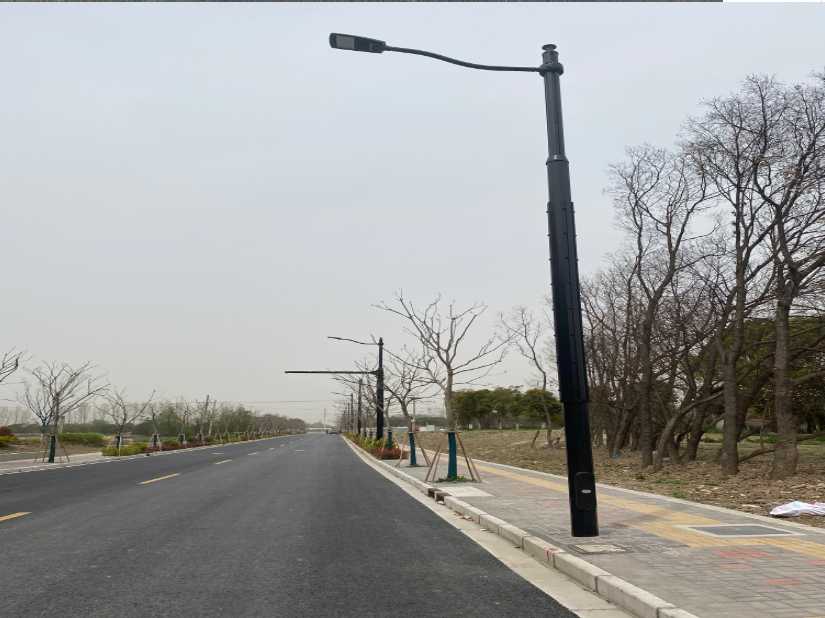 即墨区上海综合杆 太阳能路灯工程